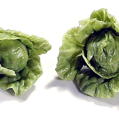 Image of Lettuce, Crinkly, Single