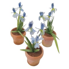 Image of Iris Stencil