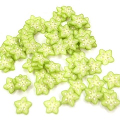 Image of Star Fruit MultiCane